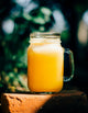 Fresh Squeezed Orange Juice